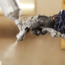 SES BLOG 11 Repairand Replace Header Image 1280 X720